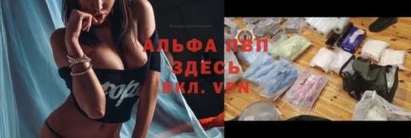 apvp Вязьма