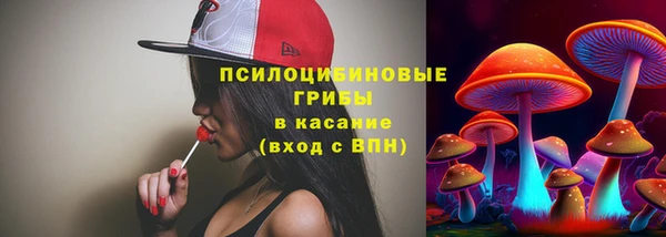 mix Вяземский