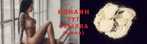 apvp Вязьма