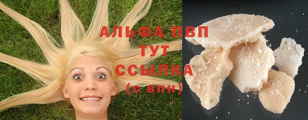 apvp Вязьма