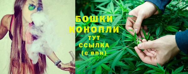 apvp Вязьма