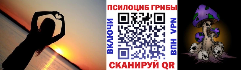 Псилоцибиновые грибы Psilocybe Чишмы